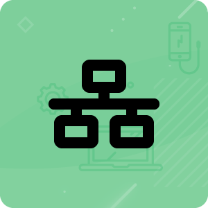 Competency in Networking icon